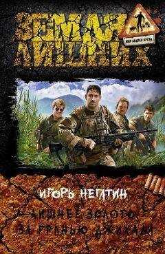 Игорь Негатин - Лишнее золото. За гранью джихада