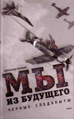 Александр Шевцов - Мы из будущего