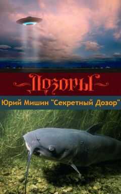 Юрий Мишин - Секретный Дозор